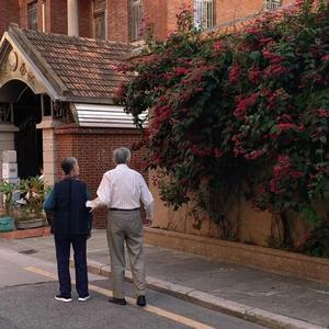 忧郁的安娜全CG动画免费观看樱花
