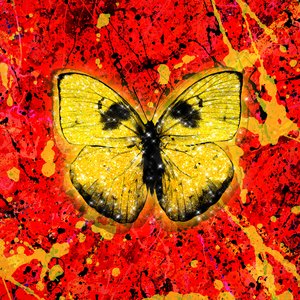 无码视频精品偷拍一区不卡
