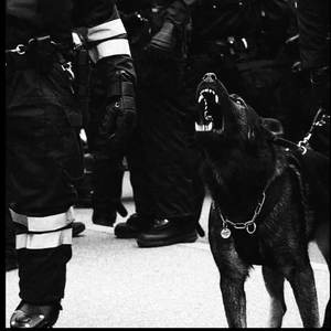 同学的妈妈张姨30出头小说
