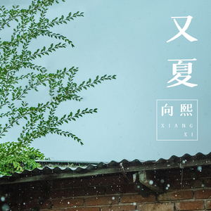 无码视频精品偷拍一区不卡
