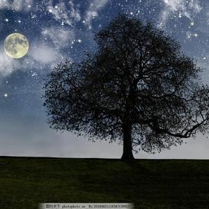 50岁女人裸体毛茸毛
