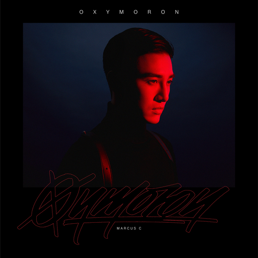 姐姐给我打脚枪
