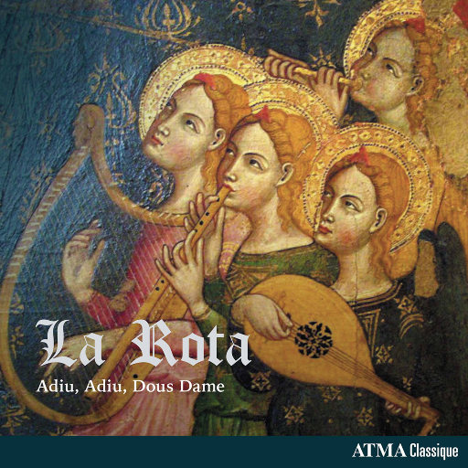 姐姐给我打脚枪
