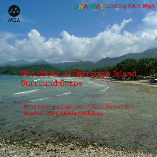 姐姐给我打脚枪
